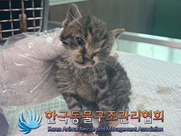 종료(자연사) 한국…